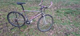 Kult Mtb Mondia Swiss