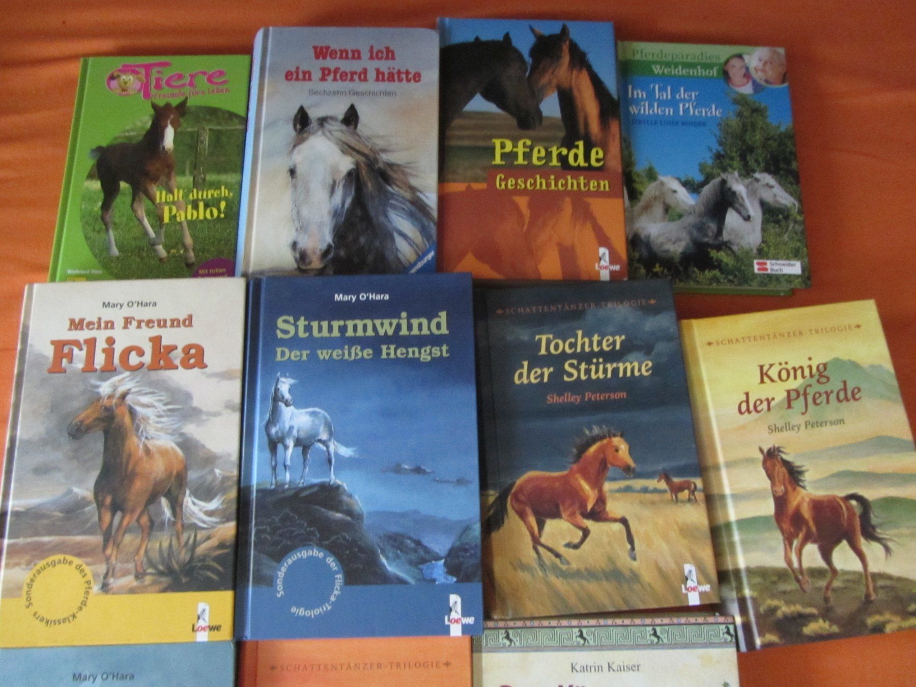 Libri: 11 Jugend Bücher mit Pferden – Usato da Malters venduto da moc_z8d9 1