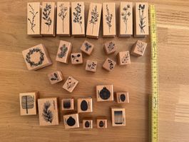 29 Holzstempel – Cats on Appletrees & botanische Motive