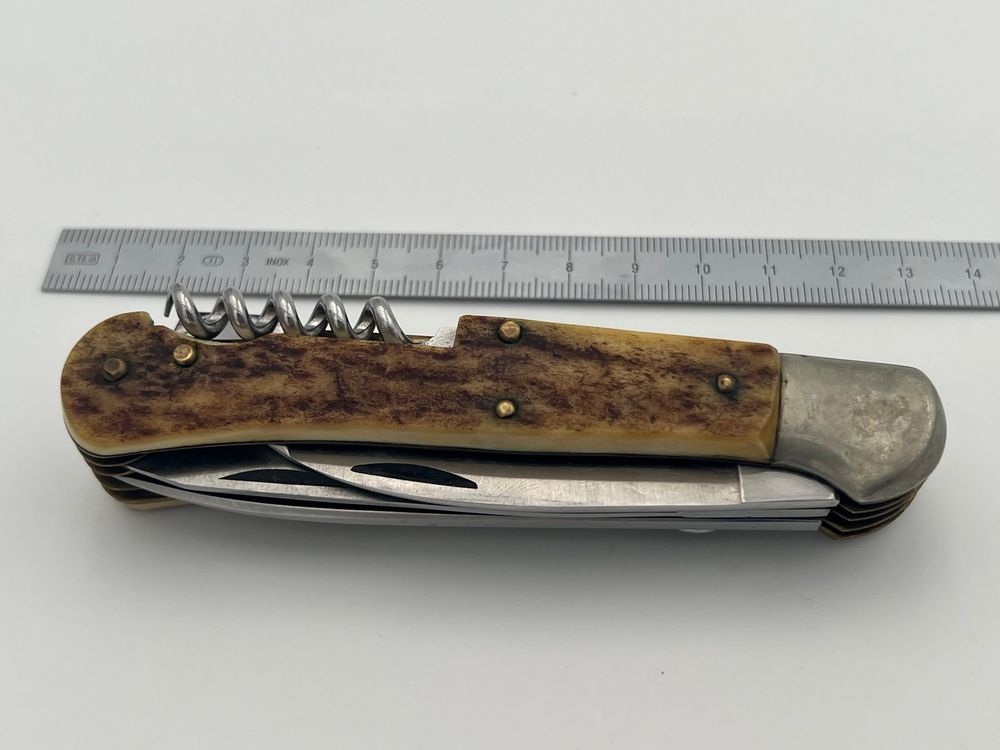 Horn Jagdmesser, Hase Rostfrei messer landis Chur | Kaufen auf Ricardo