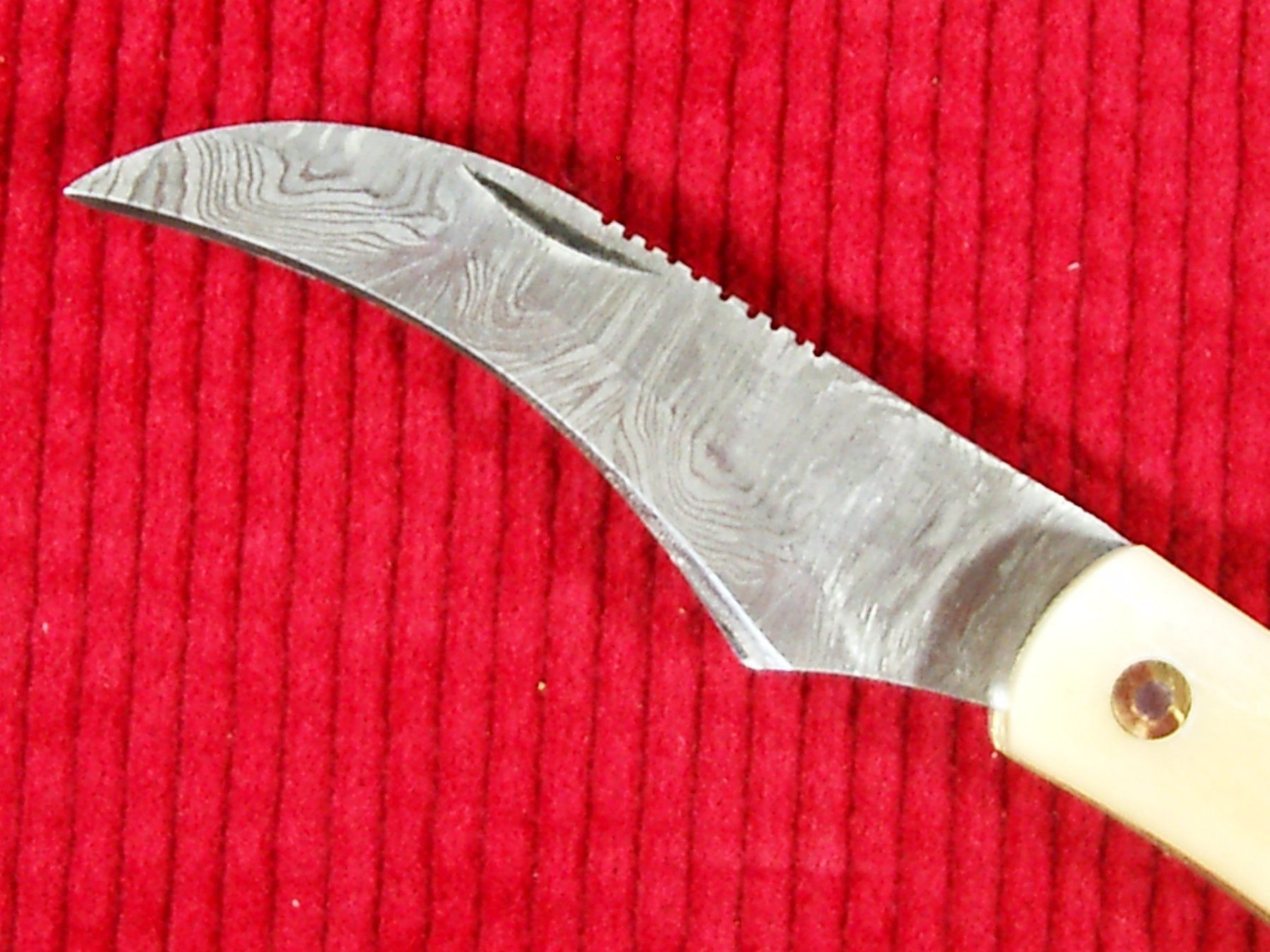 Coltelli tascabile: Pilzmesser Damaststahl-Klinge, Knochen-Griffschalen – Nuovo e nell'imballaggio originale da Laupen ZH venduto da tonisculati 1