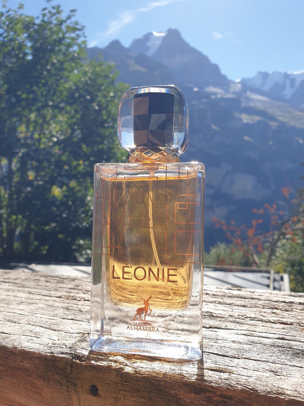 Parfum & Eau de Toilette: Maison Alhambra Léonie 100ml YSL Libre – Gebraucht aus Mürren von EvaLeonard 1