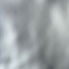 Profile image of palillo12