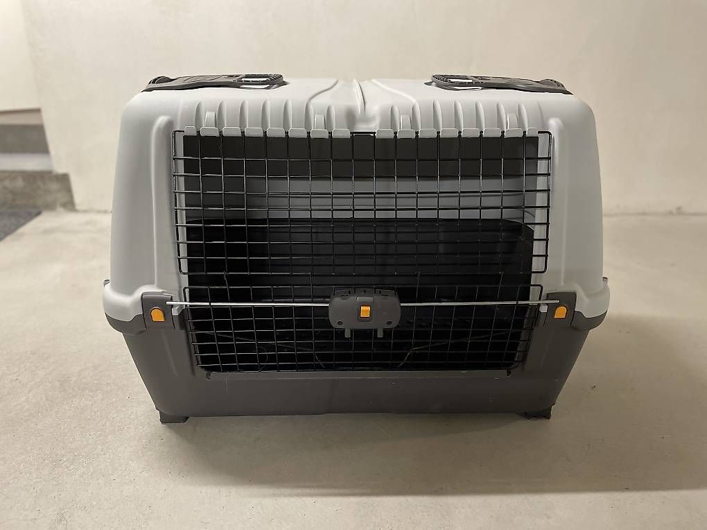 Käfige, Transport & Sicherheit: Hunde Transport-Box Groß – Gebraucht aus Rhäzüns von ele_2pbv