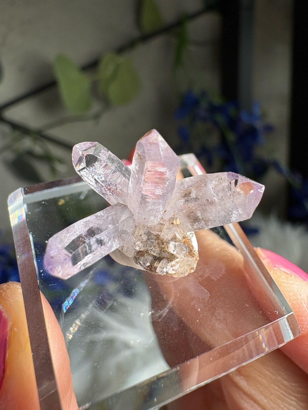Pietre preziose: Veracruz Amethyst – Nuovo (secondo la descrizione) da Neuheim venduto da m.hald 4