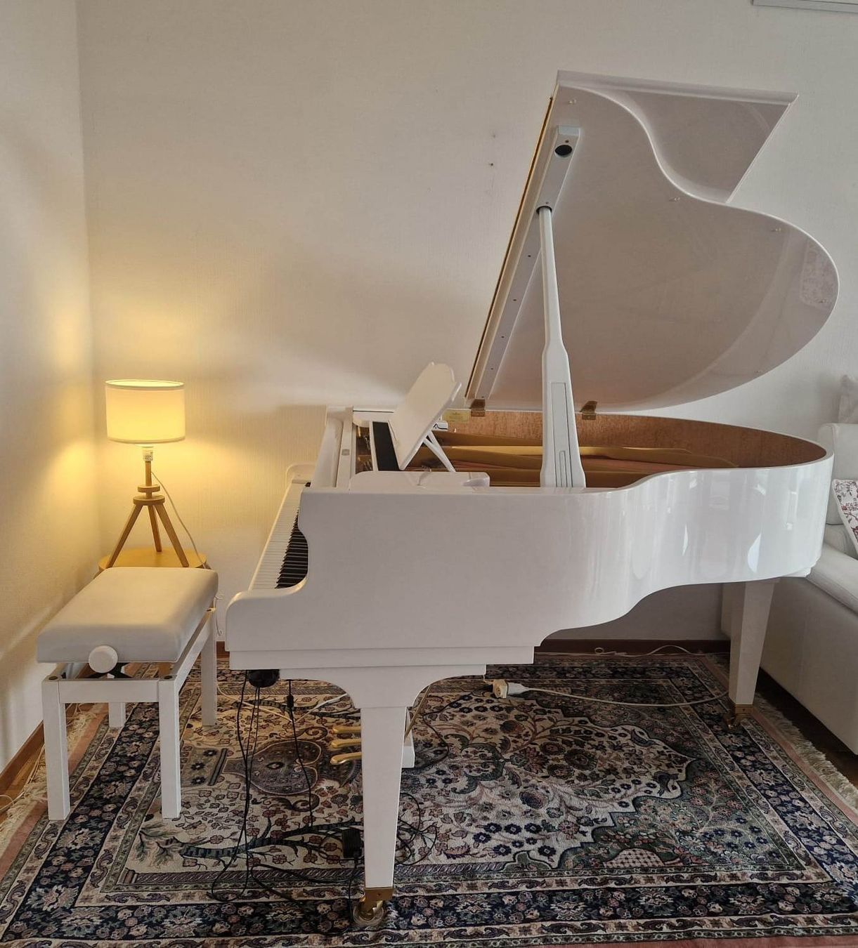 Strumenti musicali: PIANO à QUEUE /  STEINGRAEBER & SÖHNE A-170   BLANC LAQUÉ – Nuovo (secondo la descrizione) da Troistorrents venduto da kohlrusch 1