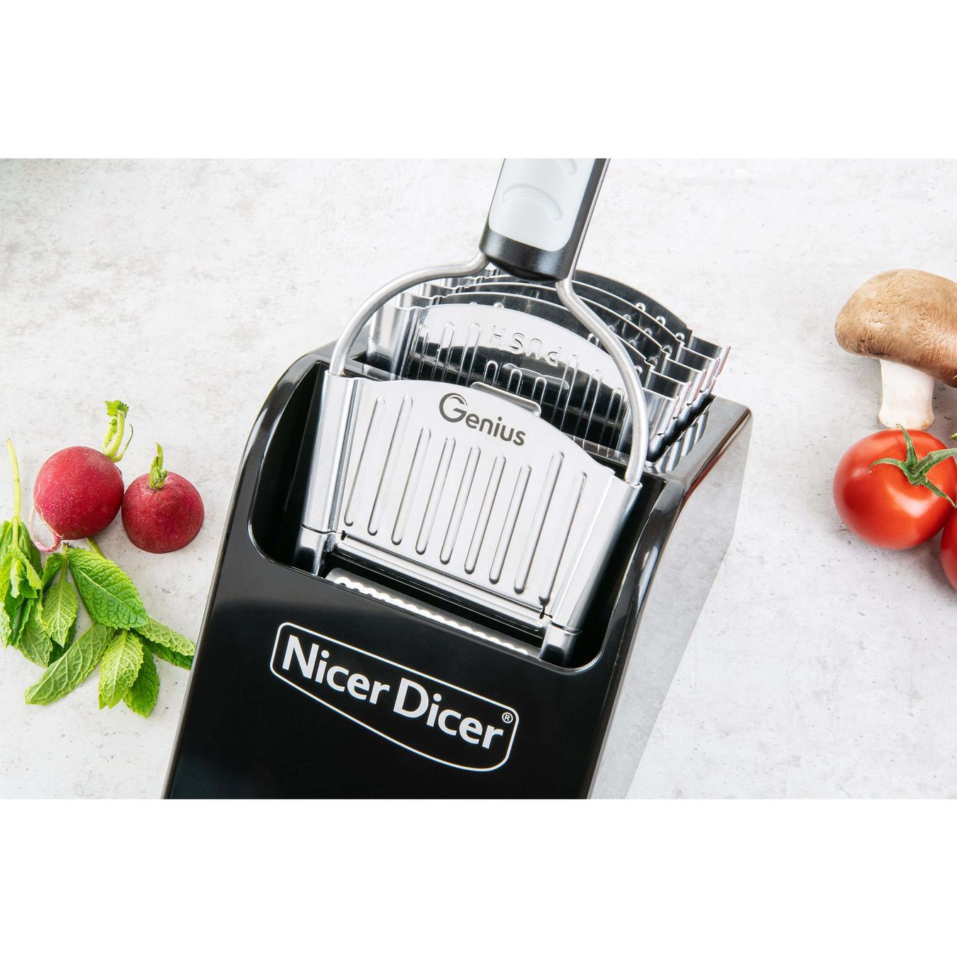 Elettrodomestici da cucina: Aufbewahrungsbox ND Speed – Nuovo e nell'imballaggio originale da Bremgarten AG venduto da simpliCH 2