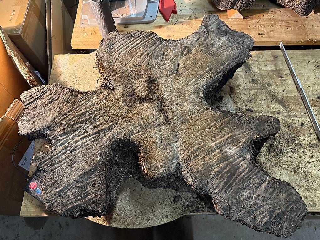 Articoli in legno: Olivenholz Wurzelscheibe W2 – Usato da Buus venduto da macipioji 1