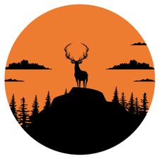 Profile image of NexCart