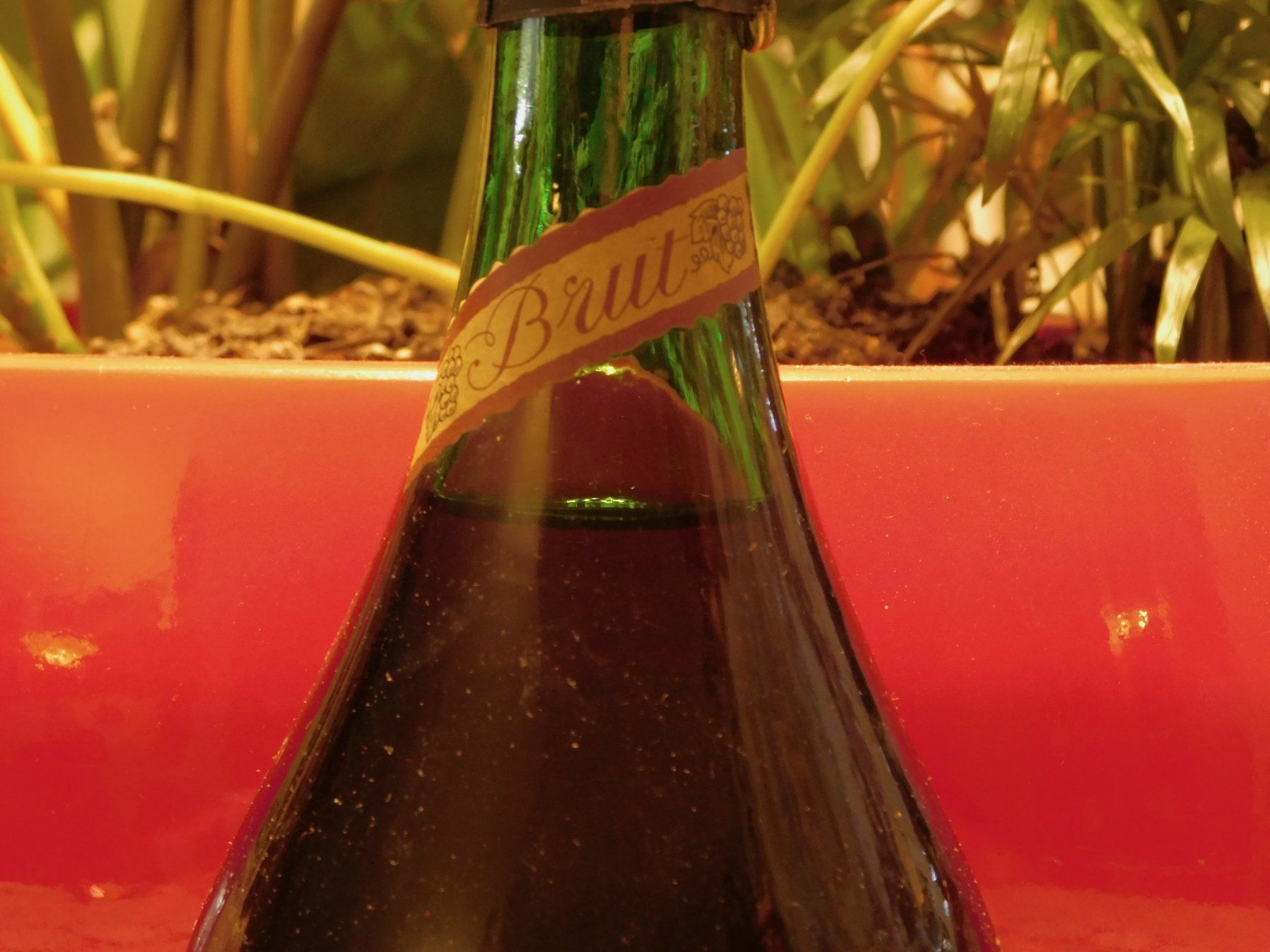 Wein: Rar GRAN CODORNIU -Brut-vintage 1970er – Neu (gemäss Beschreibung) aus Emmenbrücke von Ulisse-22 2