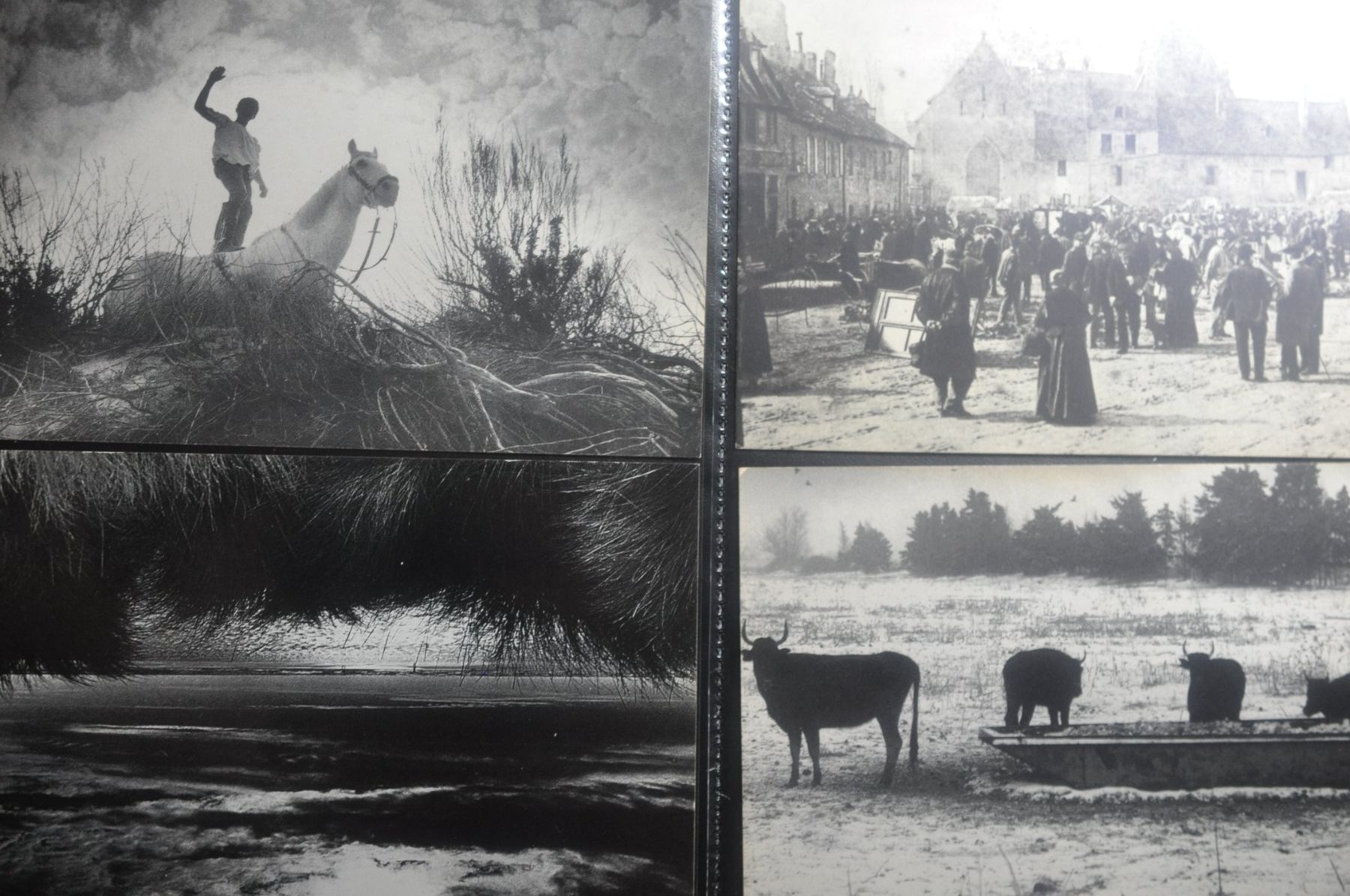 Ansichtskarten: CPA Noir & Blanc Album I – Gebraucht aus Moutier von Phillegrec 2