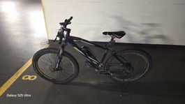 prophete graveler 20.esm.10 Hardtail E-bike/ defekt