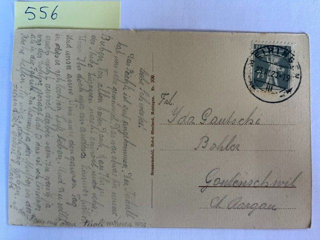 Ansichtskarten: alte Ansichtskarte Meiringen und das Hasletal , 1920 – Gebraucht aus Niederwil AG von dahu75 1