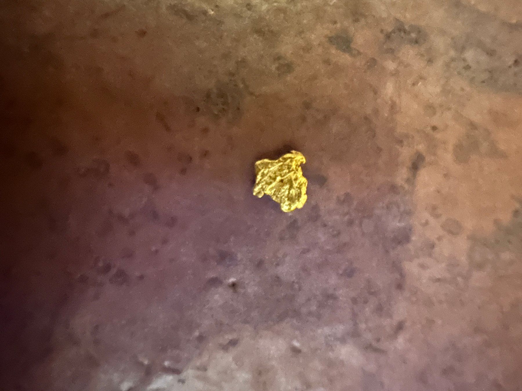 Metalli preziosi: Goldnugget aus Australien 7mm – Nuovo (secondo la descrizione) da rafz venduto da Ttt0071 3