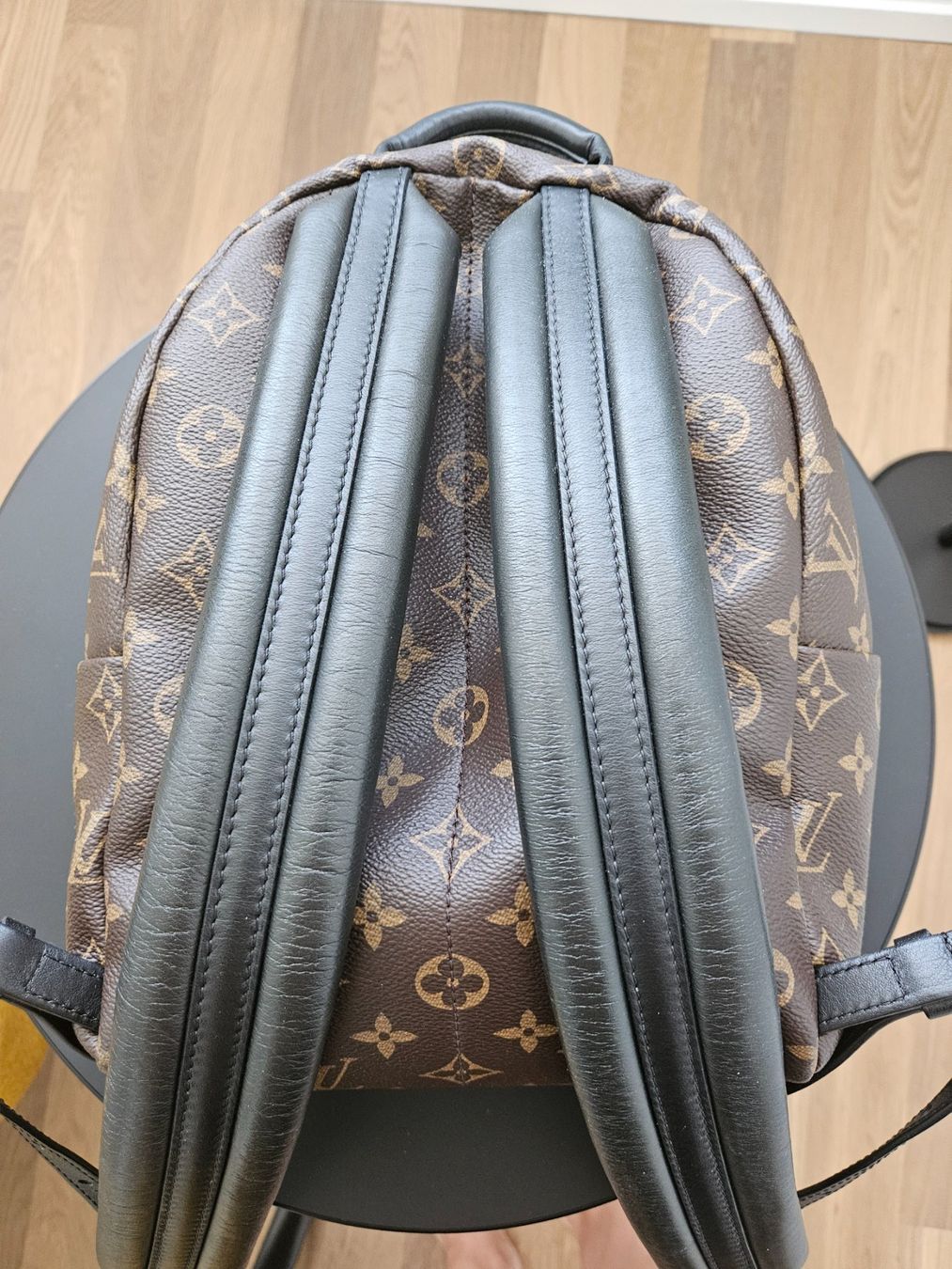 Louis Vuitton Rucksäcke: Louis Vuitton Palm Springs Backpack PM – Gebraucht aus Wiesendangen von Liquidshop 3