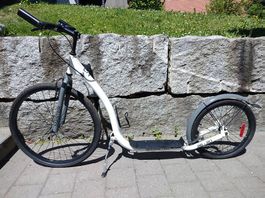 Tretroller MASTER Profi Sportroller 26/20 Zoll Trotti Sport