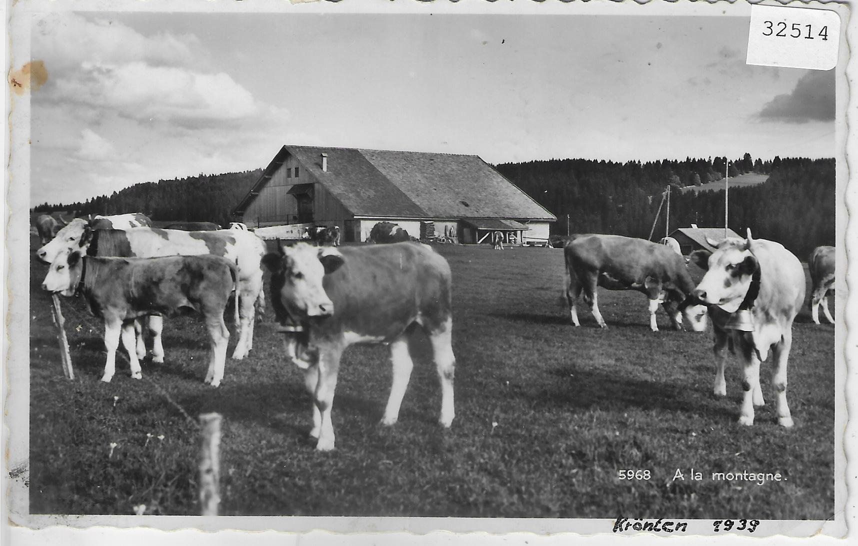 Cartoline postali: A la montagne - Kühe, vaches, cows – Usato da Ettingen venduto da Kartenplanet