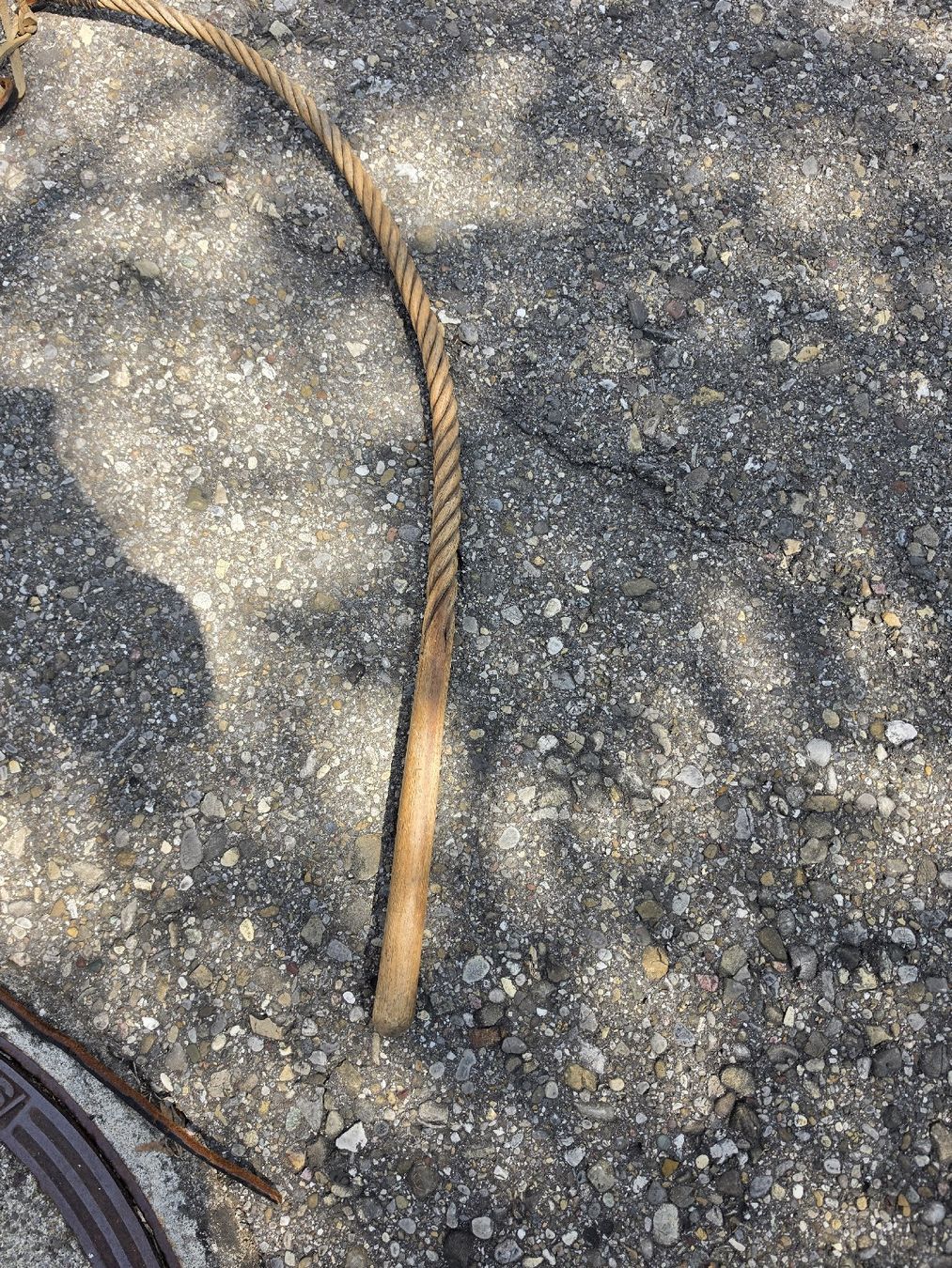 Sonstiges Tierzubehör: Peitsche mit Holzgriff Leder und Seil gebraucht – Gebraucht aus Mettlen von elios0888 1