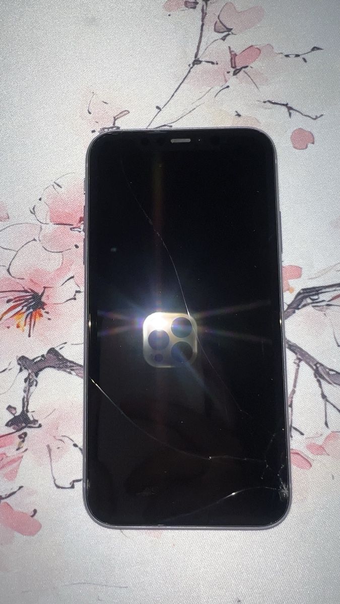 Apple Telefoni cellulari / Smartphones: Apple iPhone 11 Violett – Usato da wettingen venduto da fionaadjc