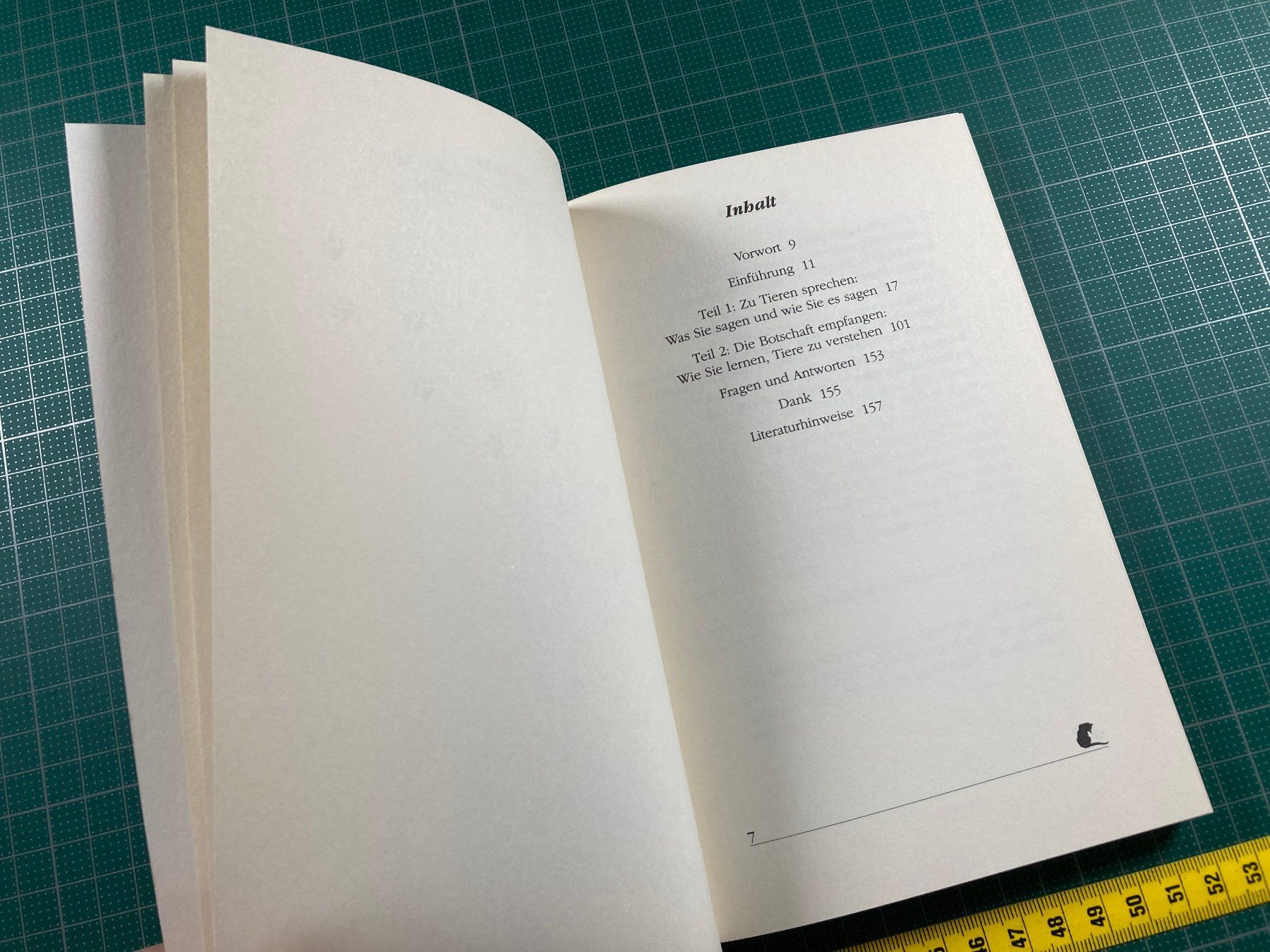 Libri: Judy Meyer: Mit Tieren sprechen – Usato da Lenzburg venduto da fh1 3