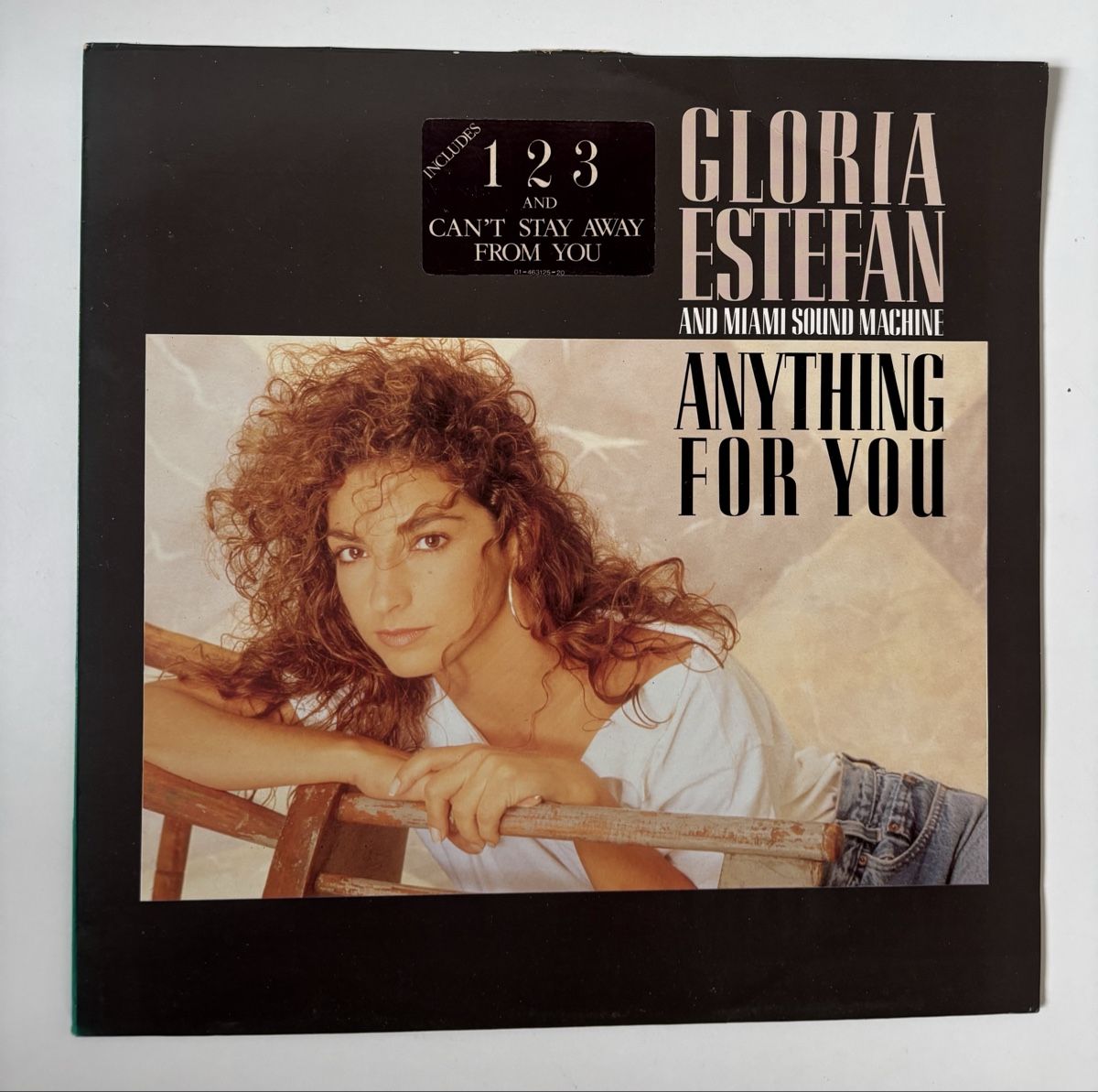 Dischi in vinile: Gloria Estefan - Anything For You LP EX/EX – Usato da Neuchâtel venduto da Deivid2