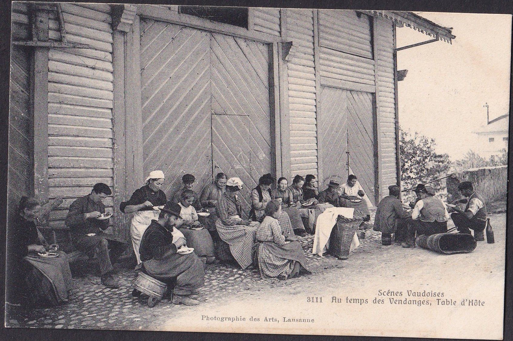 Cartoline postali: Bauernleben Landwirtschaft Scénes Vaudoises Vendanges Table – Usato da Olten venduto da clotaldi