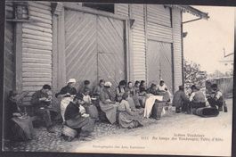 Bauernleben Landwirtschaft Scénes Vaudoises Vendanges Table