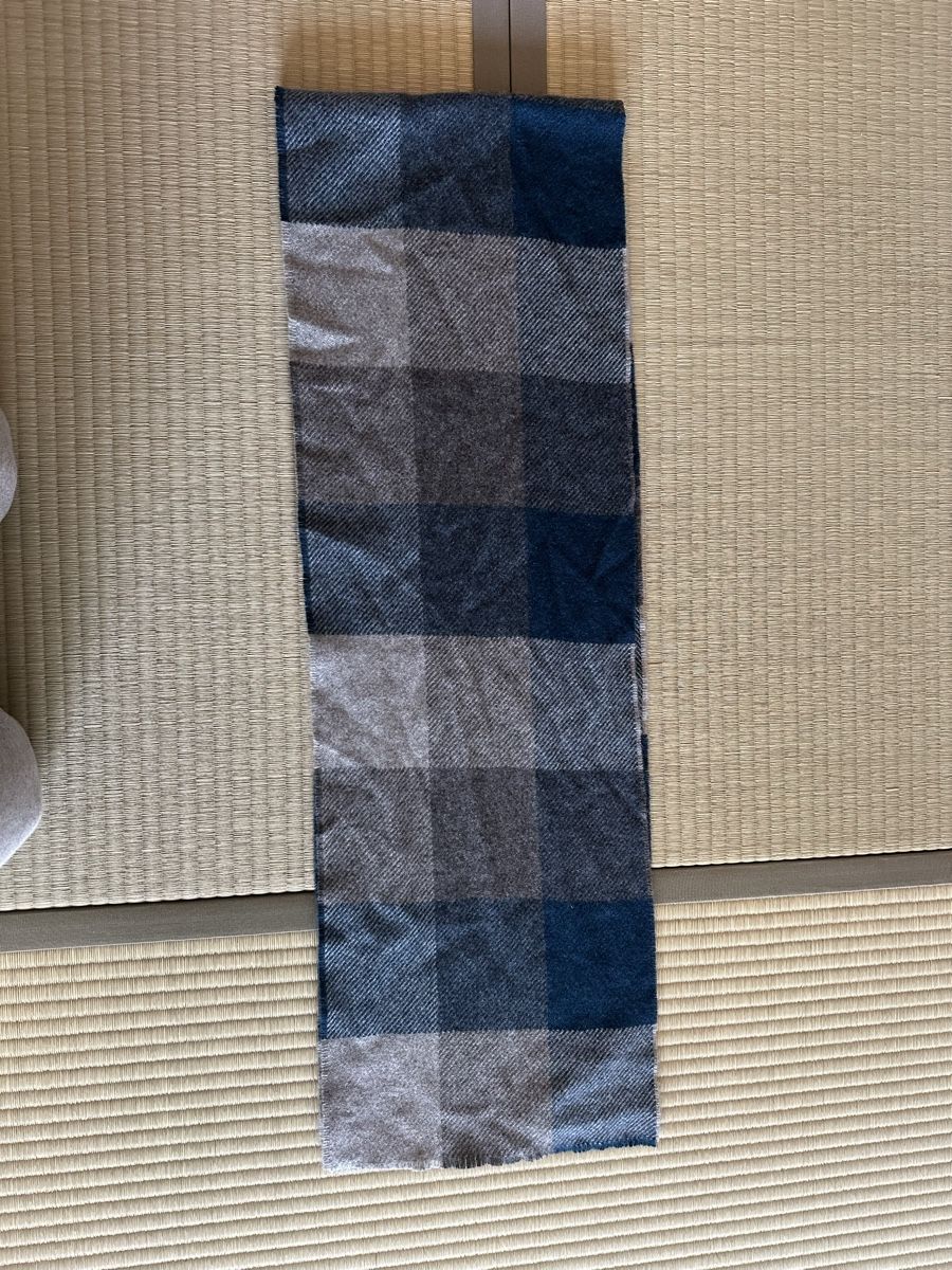 Foulard & Sciarpe: Écharpe en cachemire – Nuovo (secondo la descrizione) da Bottens venduto da pat_x66b
