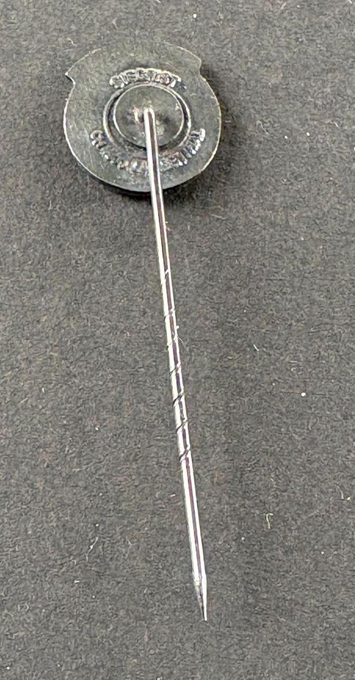 Placchette & Badge: ANSTECKNADEL SCHIEDSRICHTER – Usato da Ostermundigen venduto da wini63 1
