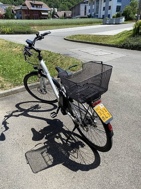 Biciclette: Flyer T Serie 45km/h – Usato da Heimberg venduto da rolang01 2