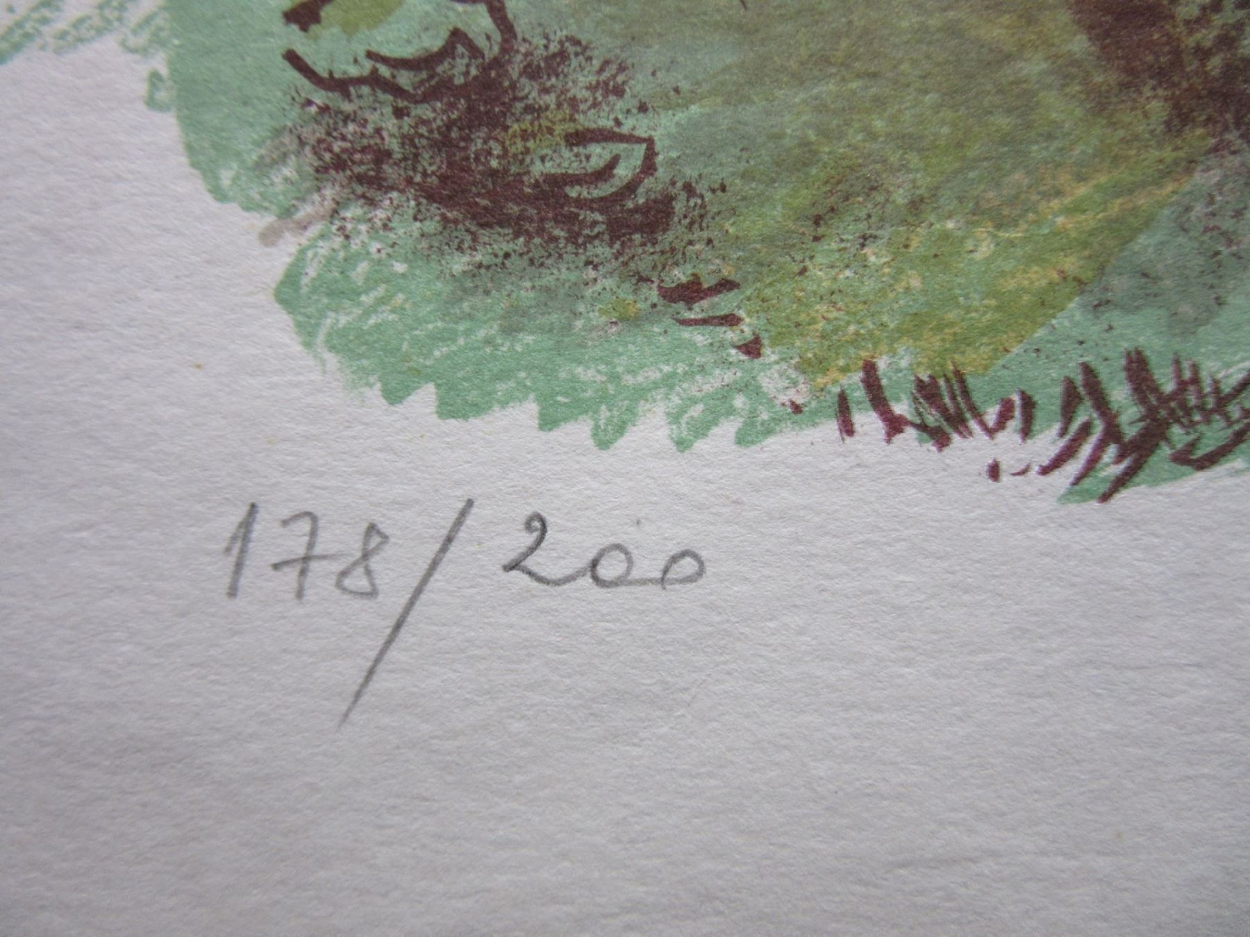 Grafica & Litografie: C. STILARD LITHOGRAPHIE SIGNIERT NUMMERIERT – Usato da Gersau venduto da grafik-kunst 2