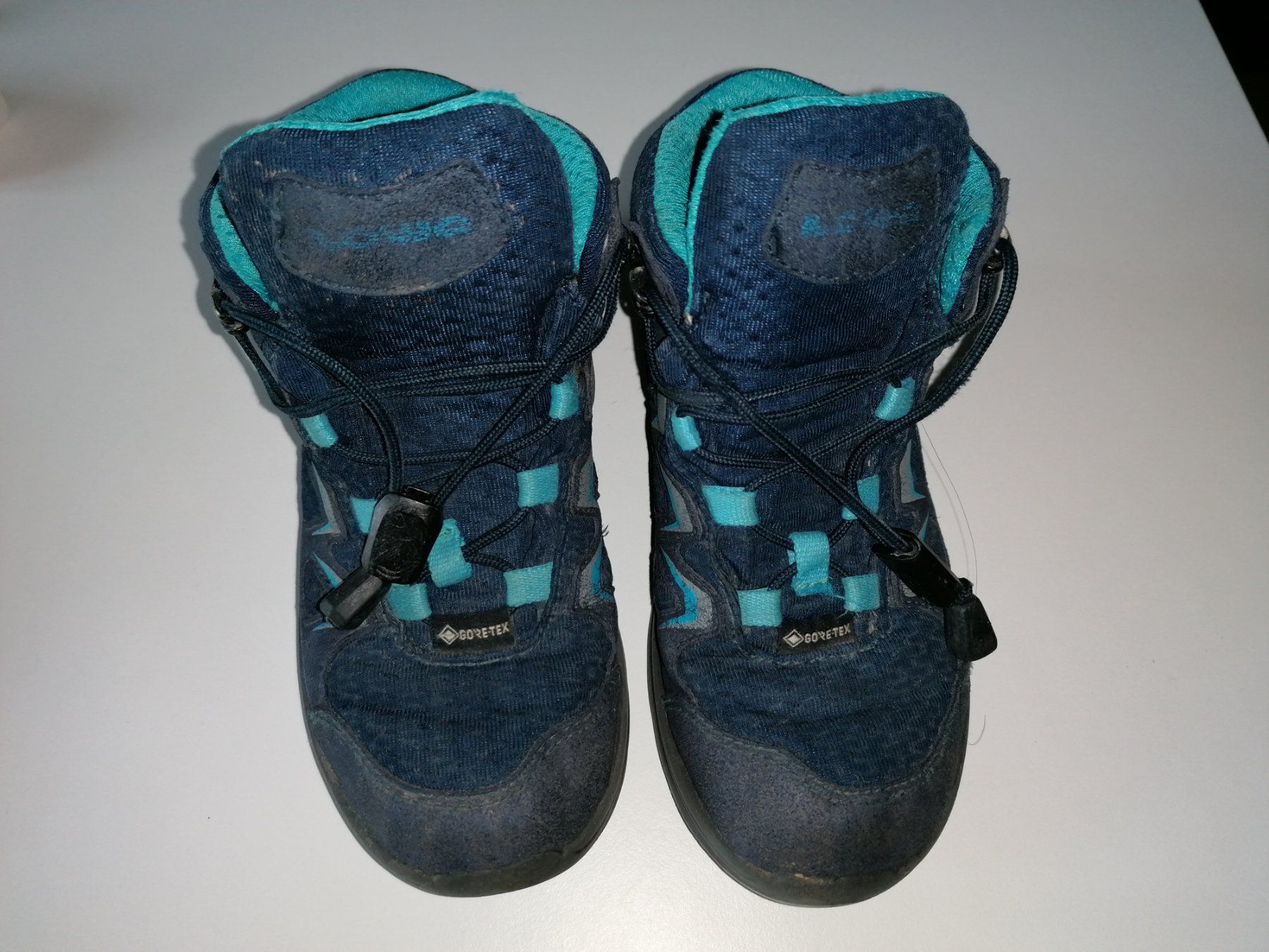 Lowa Scarpe per ragazzi: Wanderschue Lowa (30), Gore-Tex – Usato da Winterthur venduto da davide_ric