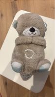 Kuschelotter