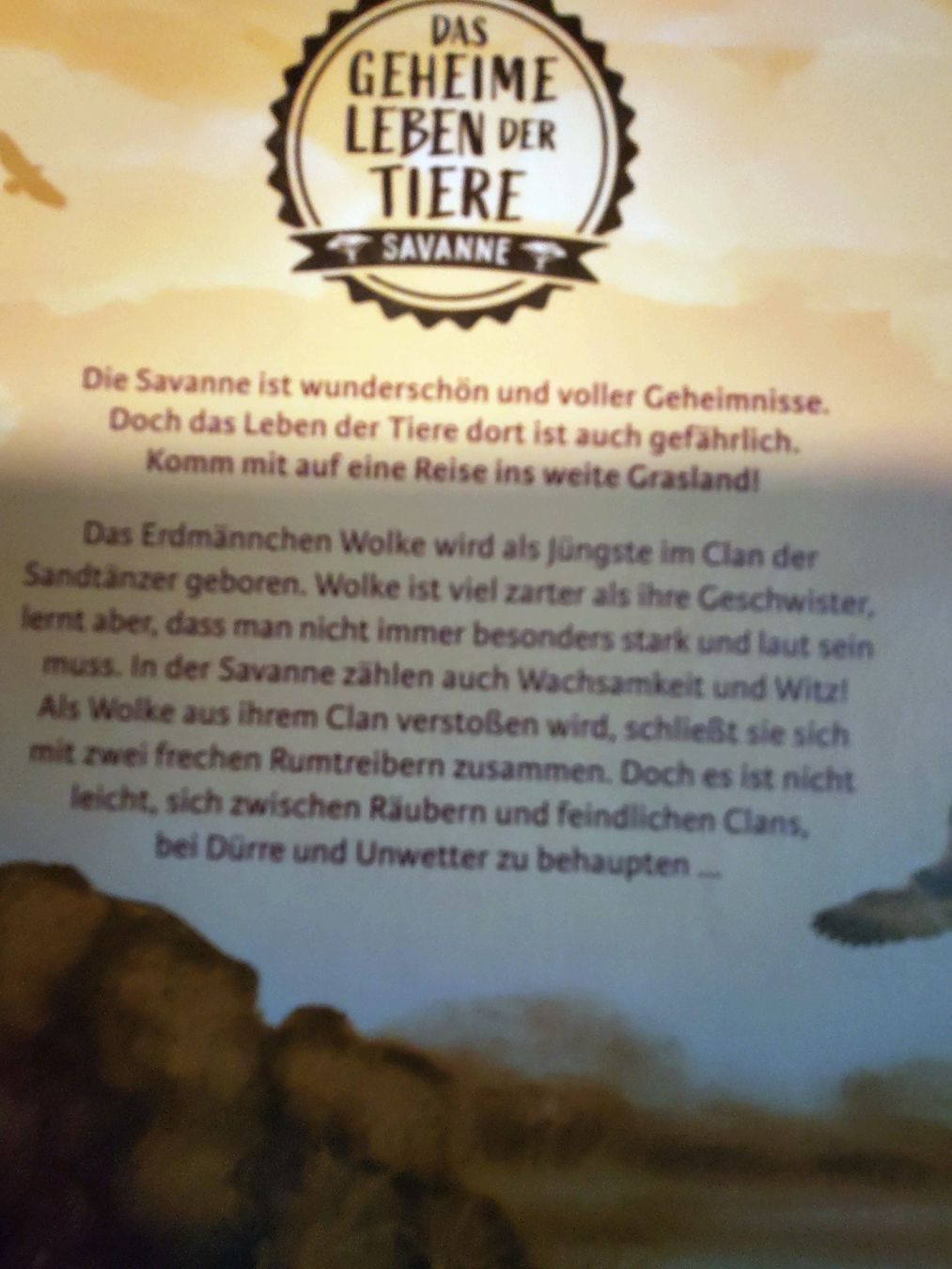 Libri: Erdmännchen, Wächter der Savanne Buch Kinderbuch – Usato da Gossau ZH venduto da Lichtlein 1