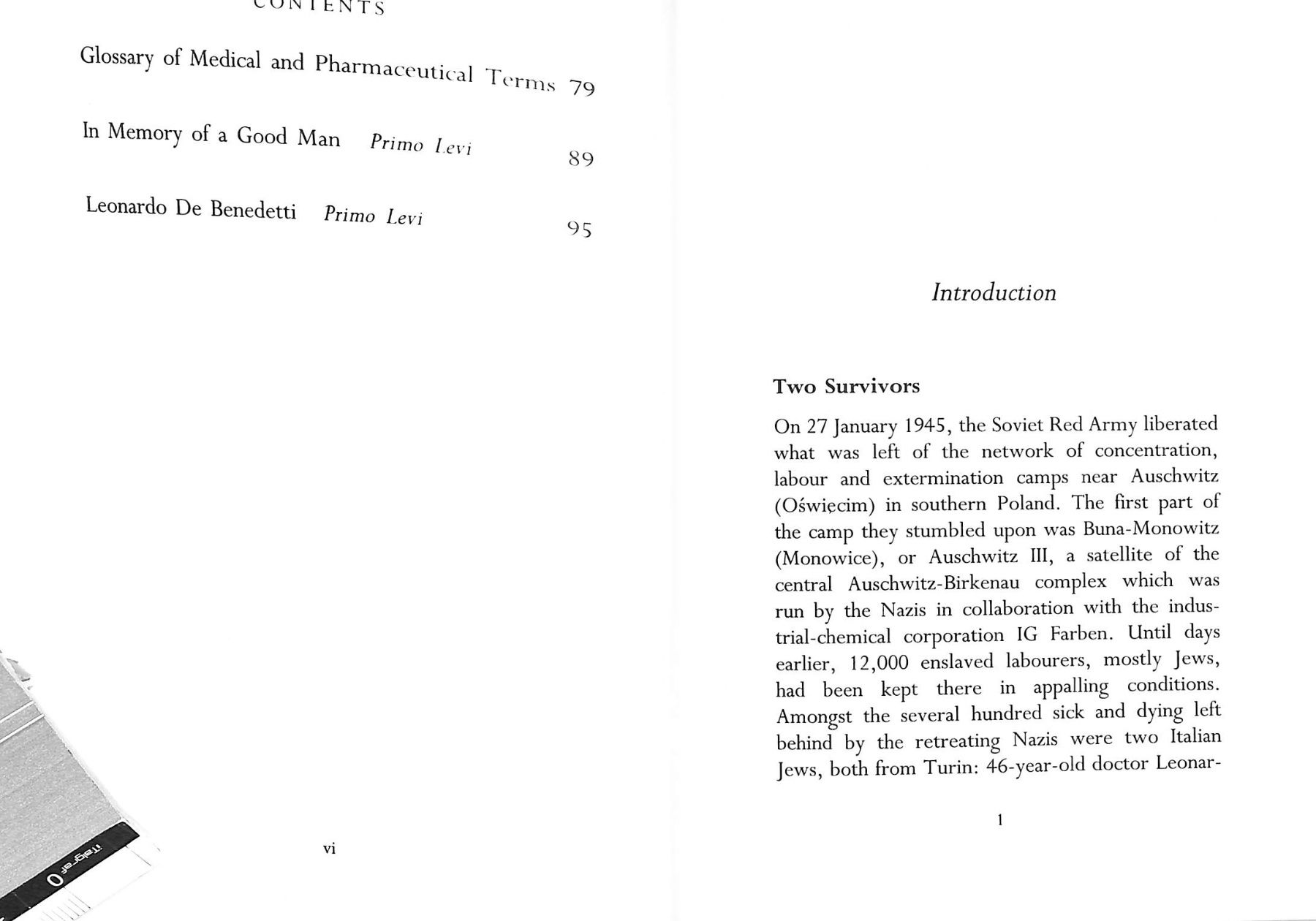 Libri: PRIMO LEVI Auschwitz Report - bewegend Leonardo de Benedetti – Usato da Zürich venduto da Nobs1 4