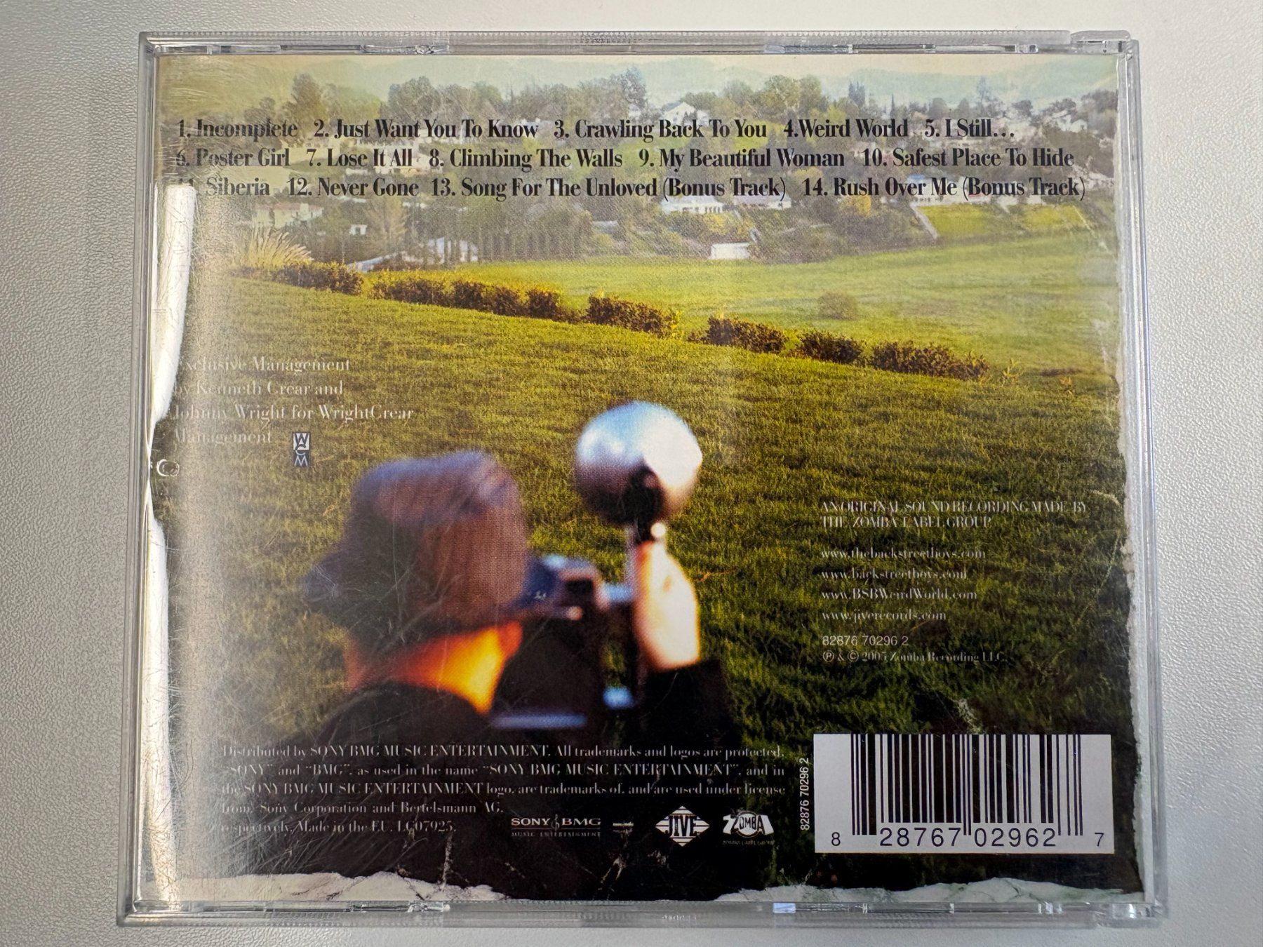 CD: Backstreet Boys - Never Gone – Usato da Oberbütschel venduto da SimBla91 1