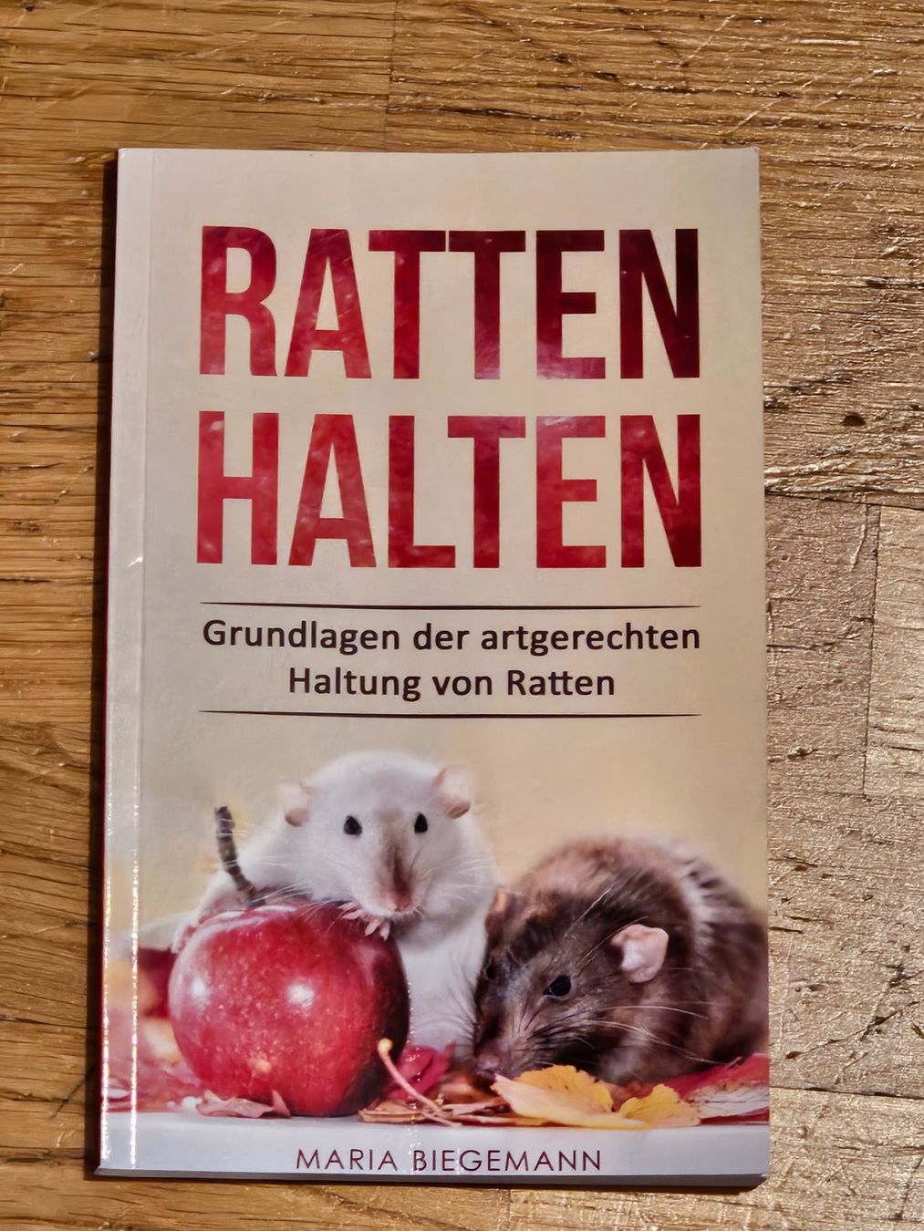 Libri: Buch über Raten – Usato da Birmensdorf ZH venduto da eva_9hvs