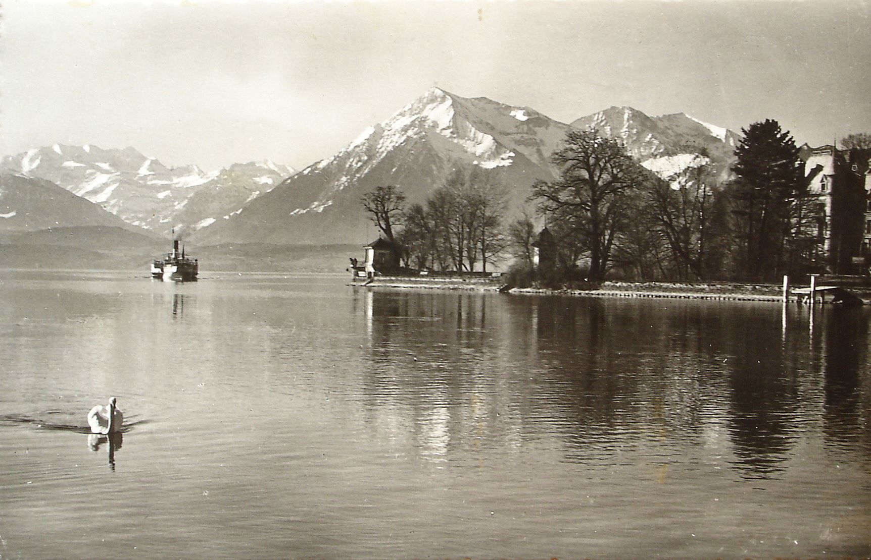 Cartoline postali: THUN Schloss Schadau - Dampfschiff – Usato da Jona venduto da philajona