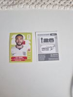 Panini Sticker ENG7