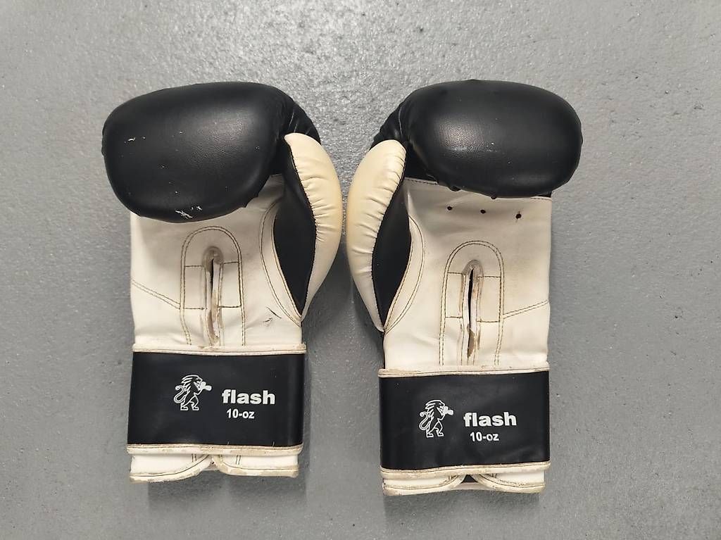 Handschuhe & Handstulpen: Guanti Boxe Leone 10 Oz – Gebraucht aus Agno von osc_ykt6