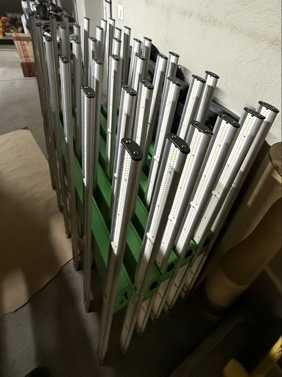 Lampade: Led hortiline acid green – Usato da Choex venduto da Adri27000 3