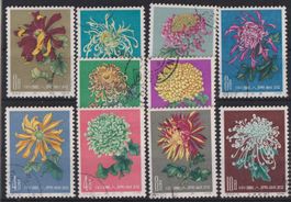 VR China: 10 Werte Chrysanthemen