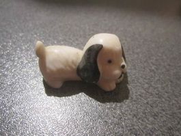 Hund liegend schwarz/weiss