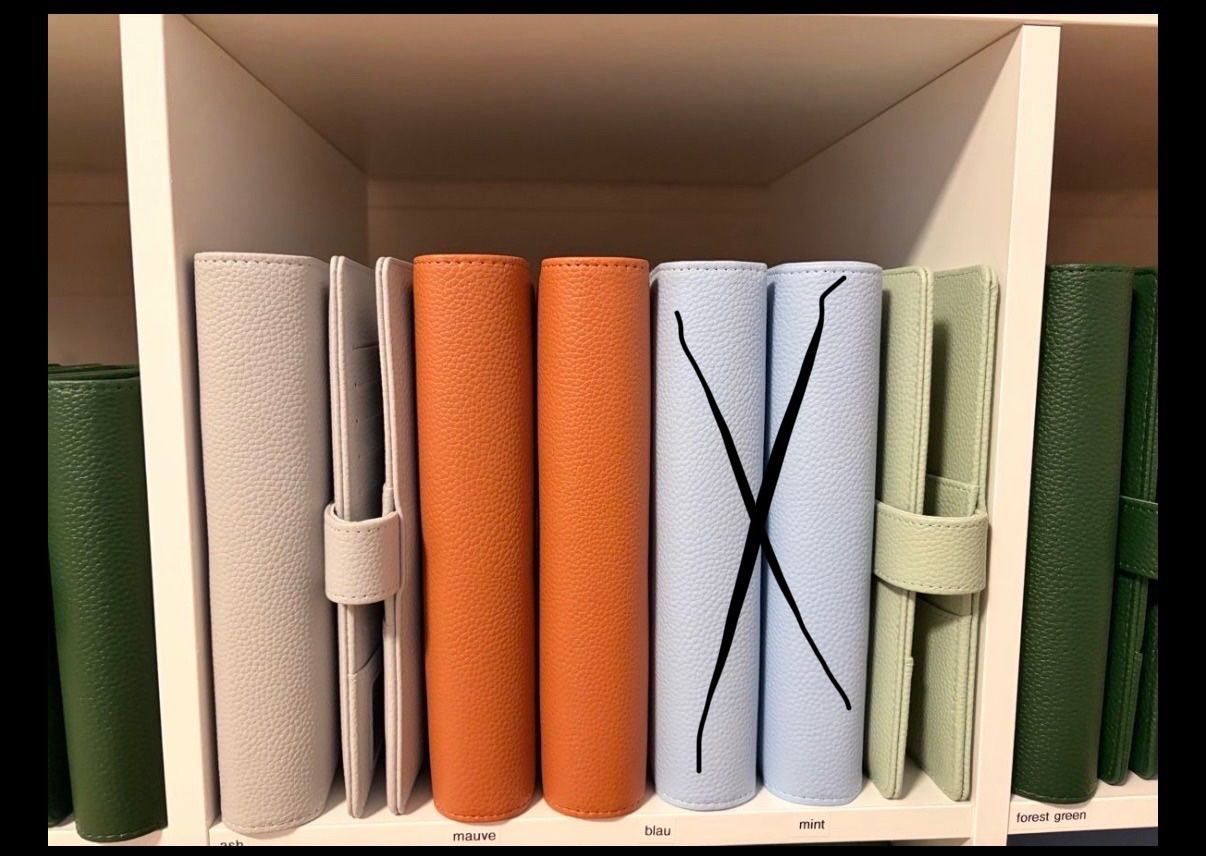 Raccoglitori: Ringbuch/Budgetplaner – Nuovo (secondo la descrizione) da Jonschwil venduto da sab_5gmn 7