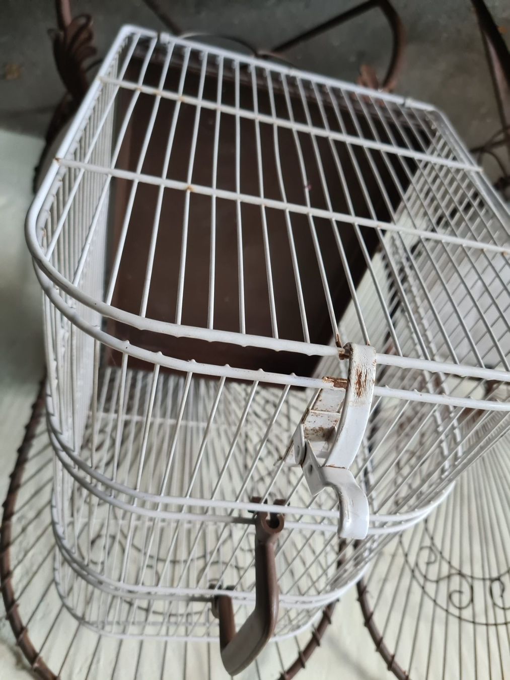 Cucce & Letti: Katzen Transporter – Usato da Ebmatingen venduto da Gelegenheit77 2