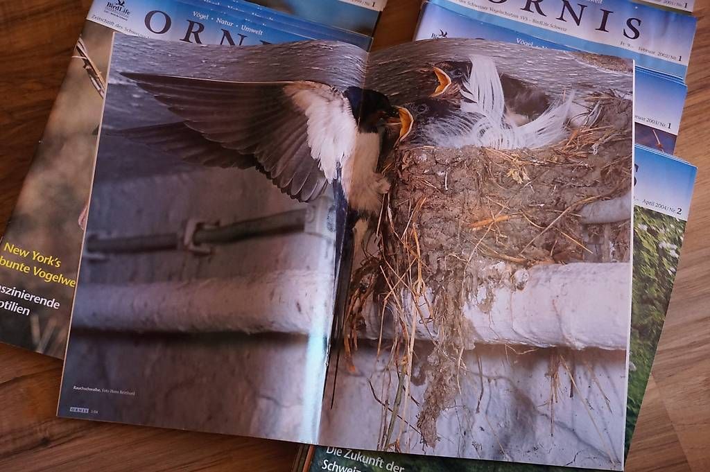 Zeitschriften & Magazine: Ornis Hefte – Gebraucht aus Meinisberg von Faithles1 1