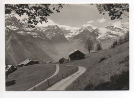 BRAUNWALD Blick vom Gugger zum Selbsanft Tödi und Gemsfayren
