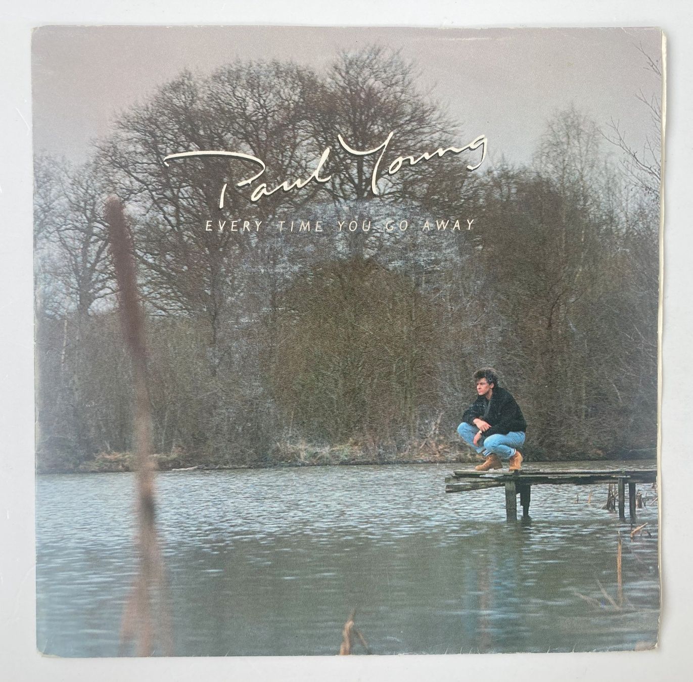 Dischi in vinile: PAUL YOUNG - EVERY TIME YOU GO AWAY – Usato da Bottens venduto da hotter-than-hell