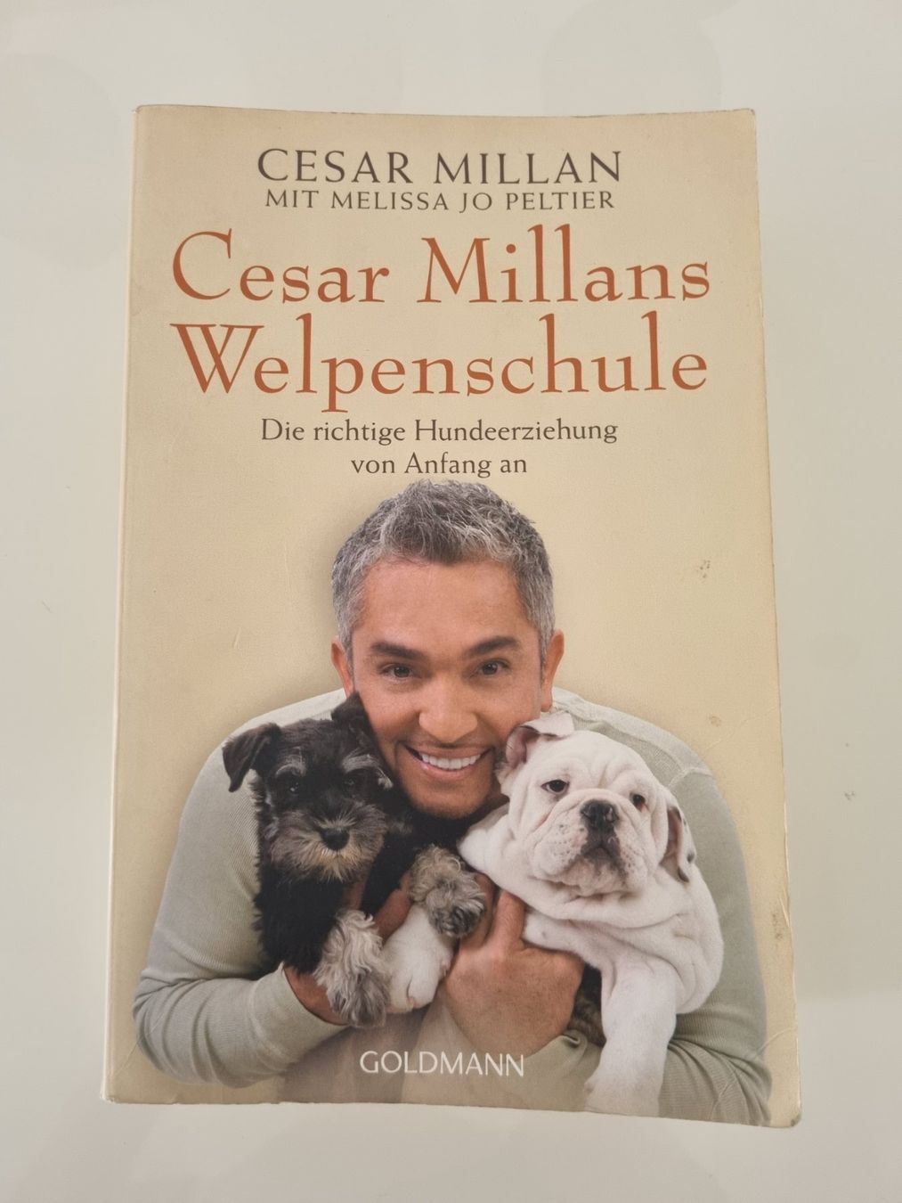 Libri: Cesar Millan Welpenschule – Usato da Altstätten SG venduto da priska2885