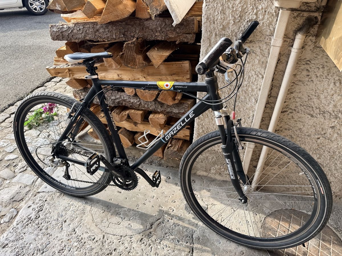 Gazelle Biciclette: Gazelle Fahrrad  – Usato da Schafisheim venduto da Flawiia